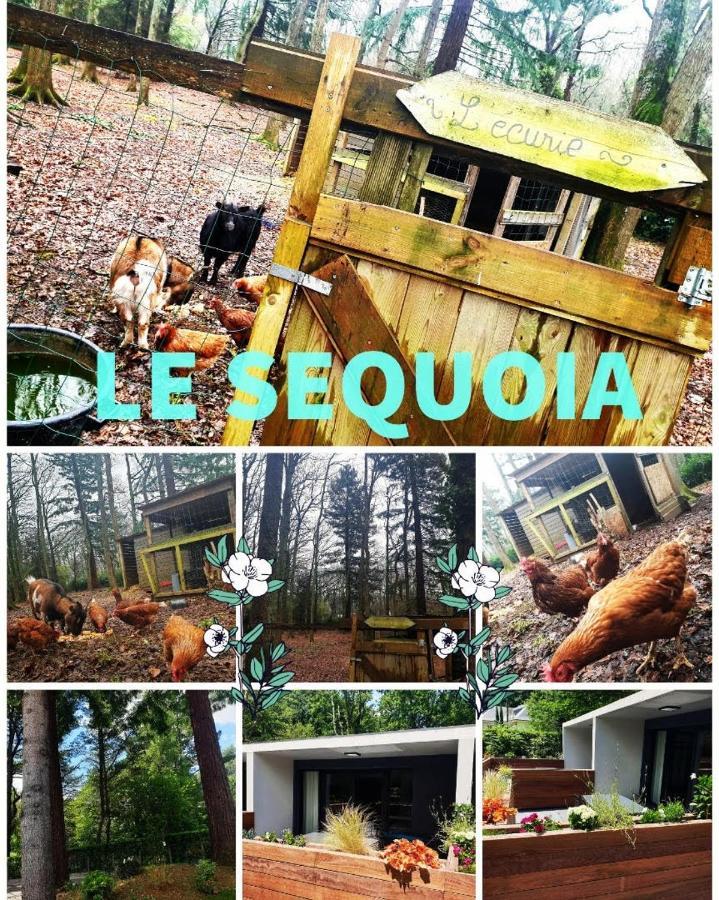 Le Sequoia Διαμέρισμα Saint-Sébastien-sur-Loire Εξωτερικό φωτογραφία