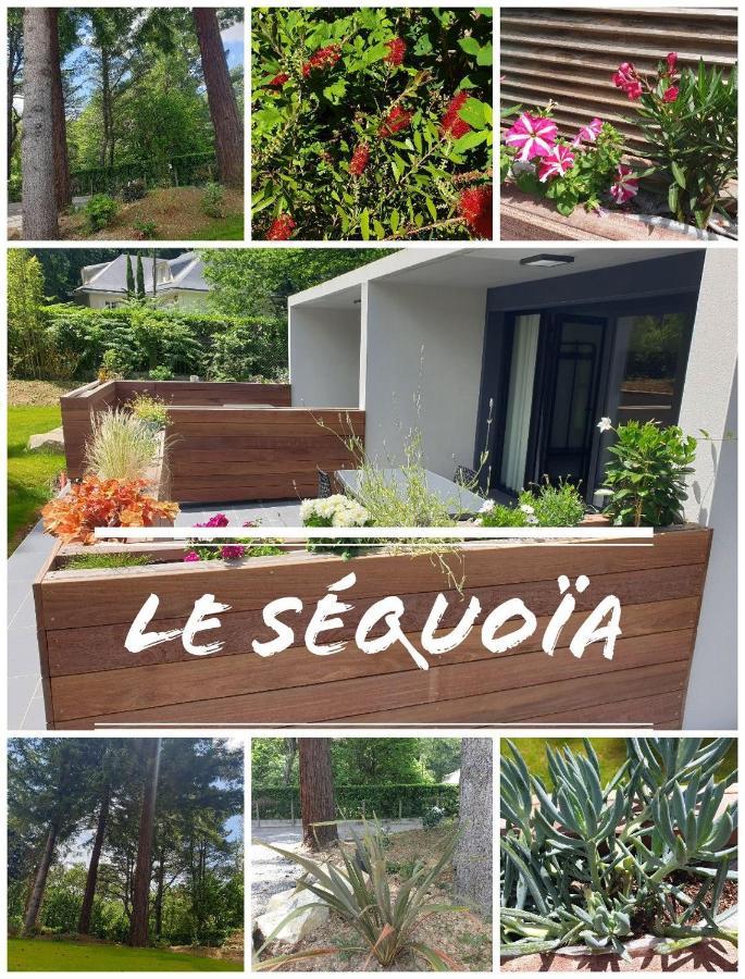 Le Sequoia Διαμέρισμα Saint-Sébastien-sur-Loire Εξωτερικό φωτογραφία