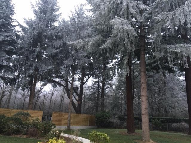 Le Sequoia Διαμέρισμα Saint-Sébastien-sur-Loire Εξωτερικό φωτογραφία